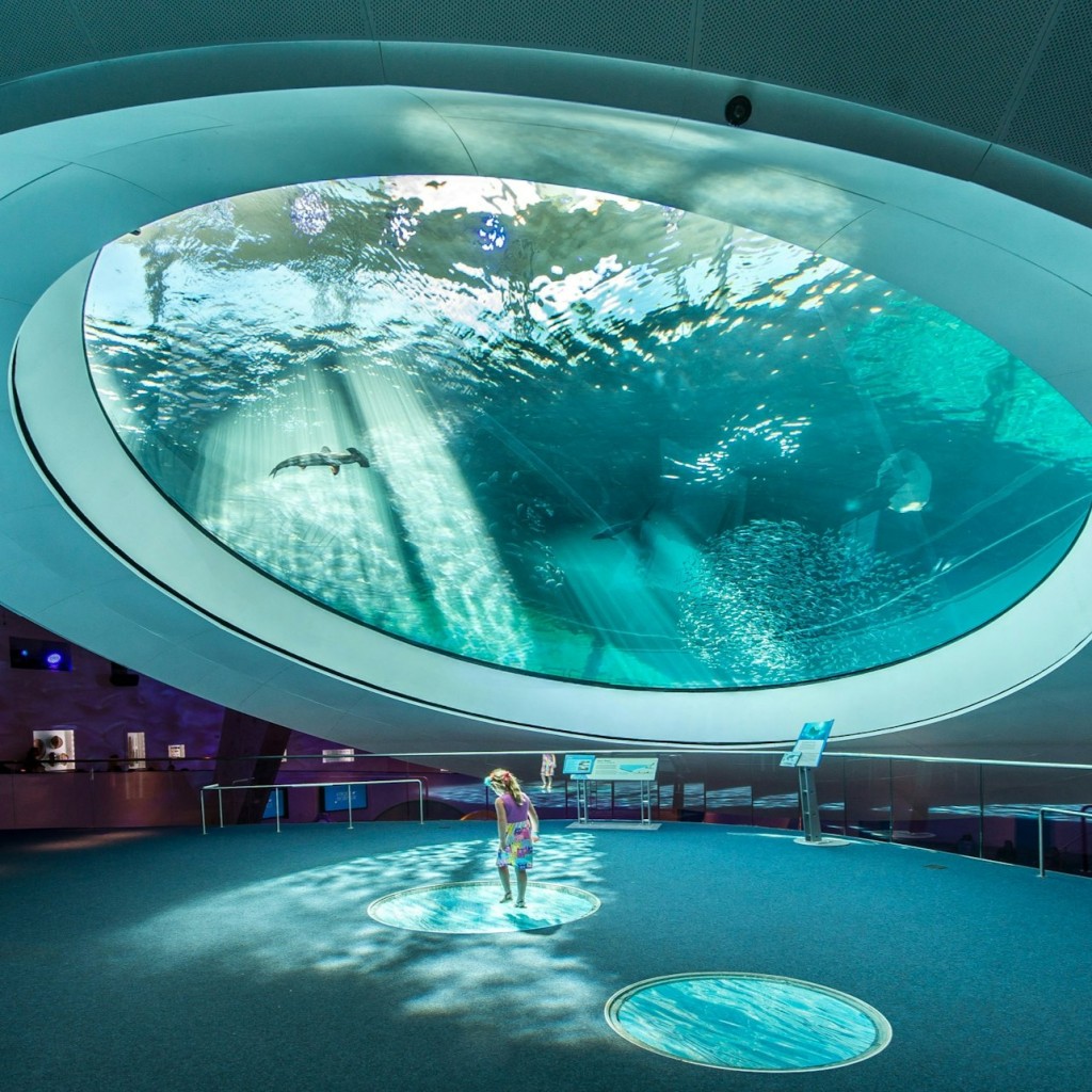 菲利普和帕特里夏·弗罗斯特科技博物馆、水族馆和天文馆:门票 - Weekday
