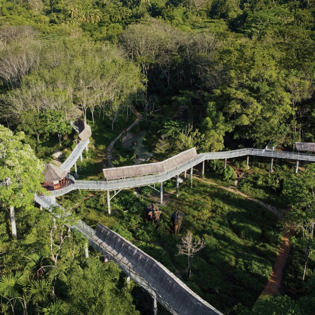 Santuario degli elefanti di Phuket: Tour guidato sulla passerella a baldacchino + snack illimitati