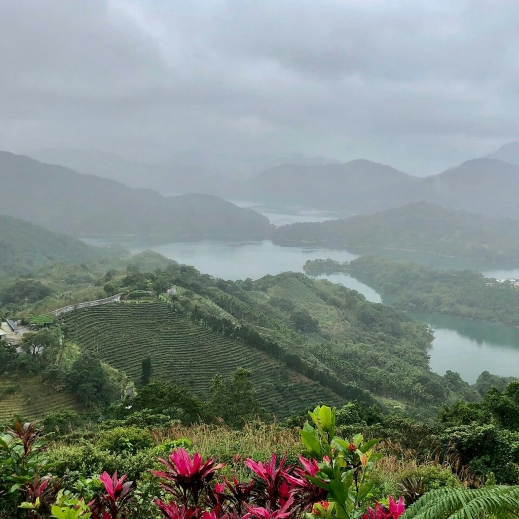Pinglin Tea Culture & Maokong: Visita guiada d'un dia des de Taipei + Passeig en gòndola