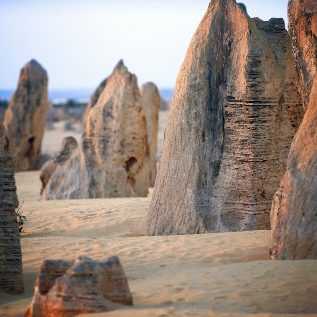 Pinnacles Wüste, Yanchep & Swan Valley: Tagestour von Perth + Mittagessen