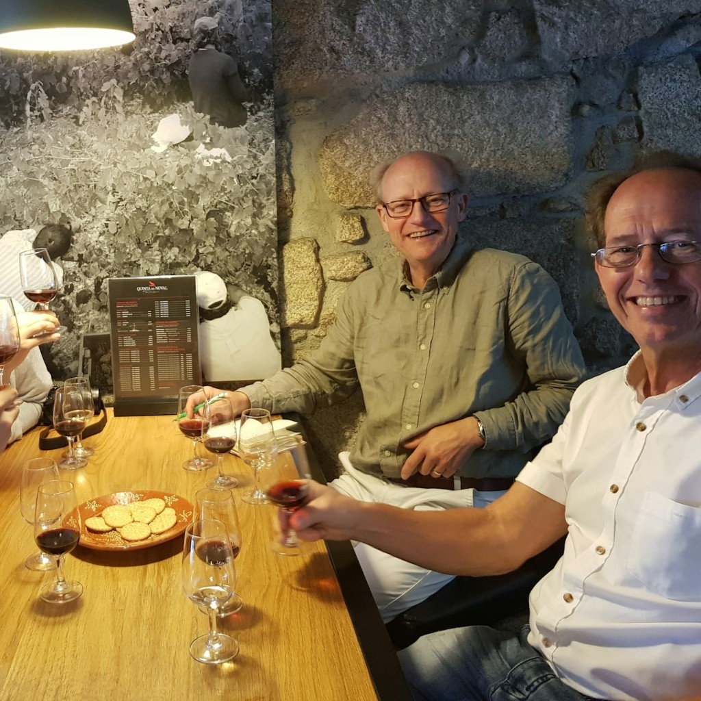 Porto : Visite guidée des vignobles + dégustations