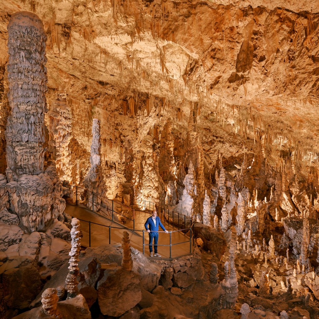 Höhle der Postojna & Höhlenburg Predjama: Halbtägige Tour ab Ljubljana