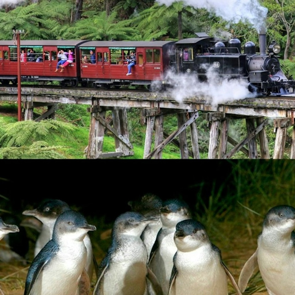 Puffing Billy & Phillip Island Penguin Parade: Bus & Zug Tour ab Melbourne