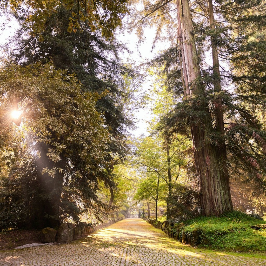 Quinta da Aveleda: Visita a la finca con cata de vino verde