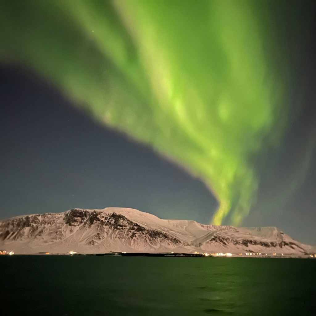 Reykjavik : Excursion en bateau à la recherche d'aurores boréales