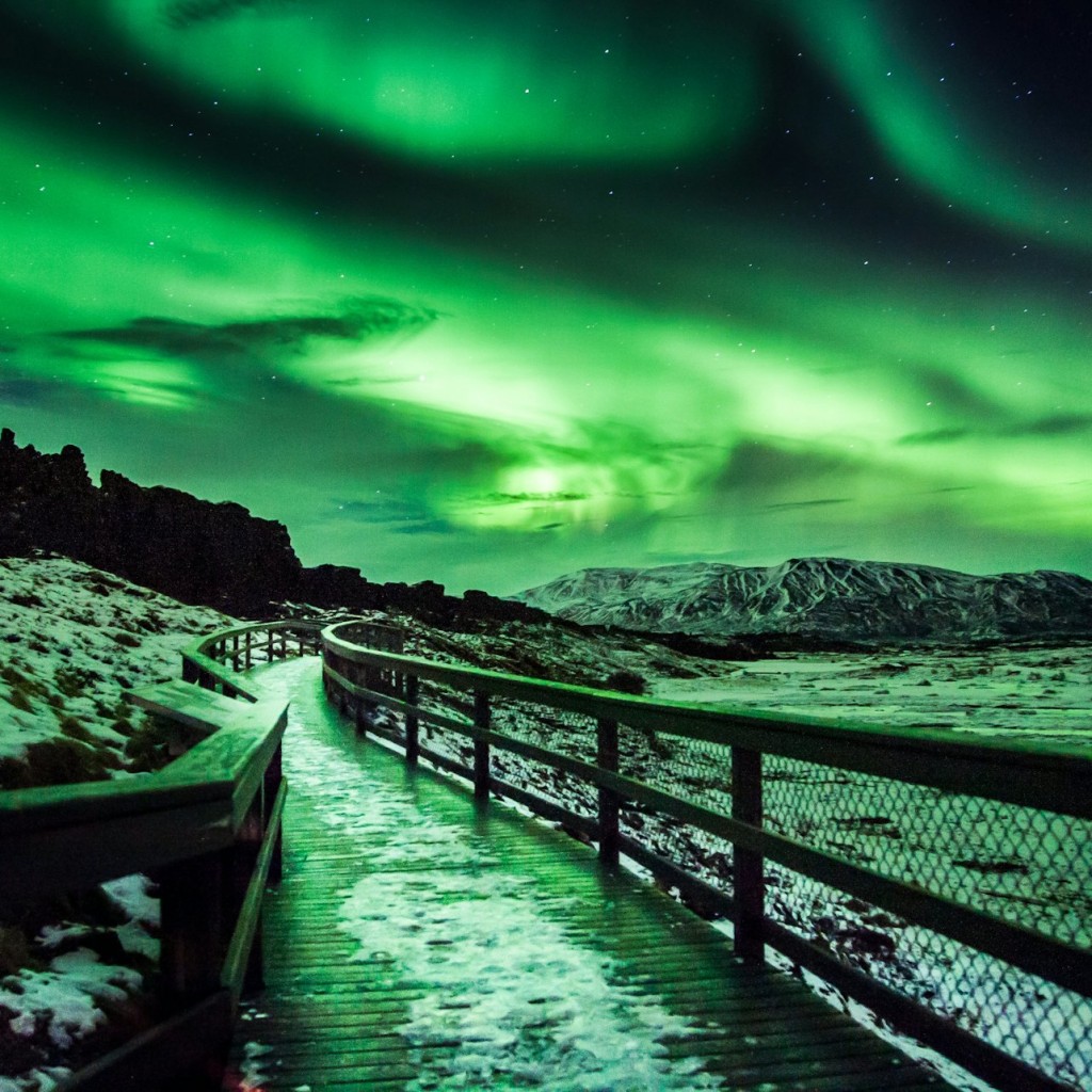 Reikiavik: Excursión en autobús por la Aurora Boreal