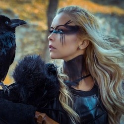 Reykjavík: Private Viking Age Walking Tour