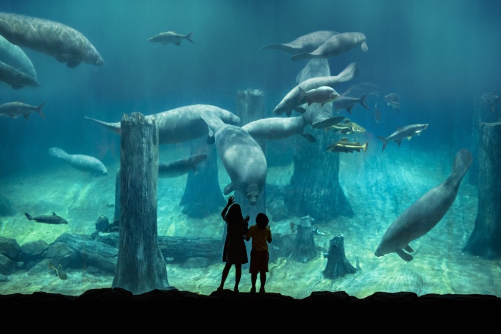 River Wonders Singapore Ticket (Open Dated Admission (Singapore Residents))