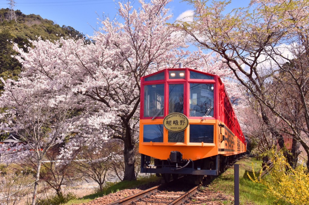 京都嵯峨野浪漫小火车 (嵯峨野浪漫小火车: 从嵯峨野 到 龟冈(单程票))