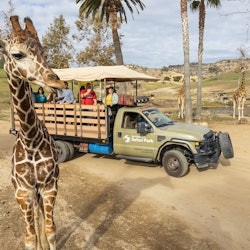 San Diego Zoo Safari Park: Entry Ticket
