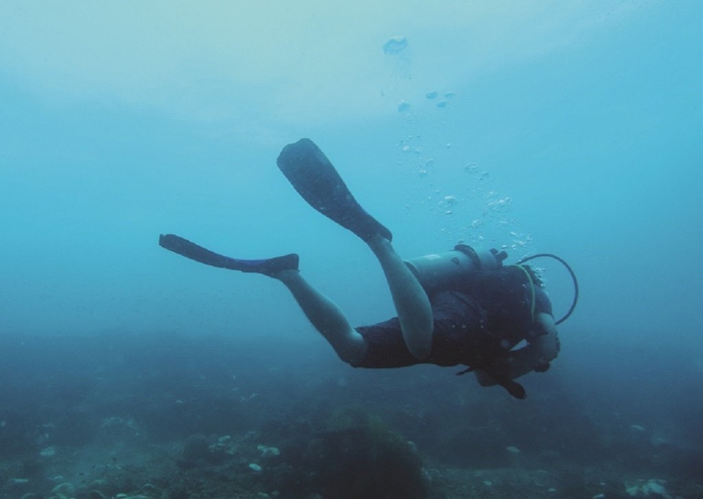 Scuba Diving at TARP Island - For Cert Diver With Two Boat Dives (Scuba Diving at TARP Island with Two Boat Dives)