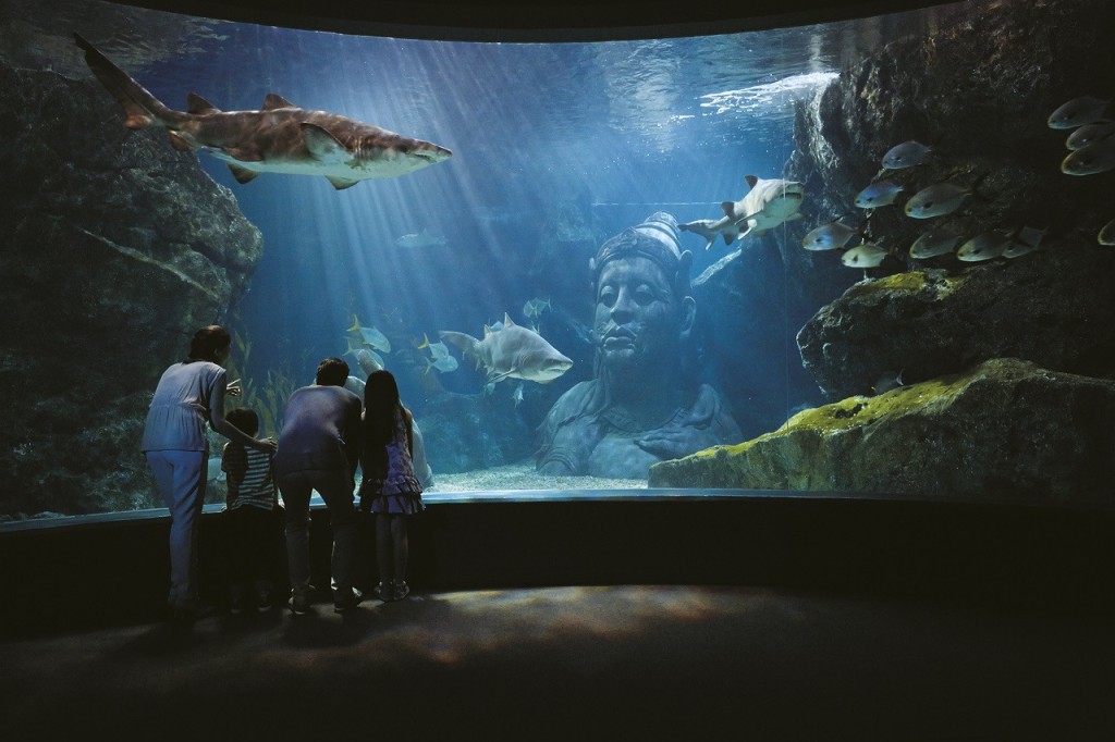 Madame Tussauds Bangkok Ticket (SEA LIFE Bangkok + Glass Bottom Boat Ride + 4D Movie + Madame Tussauds Bangkok)