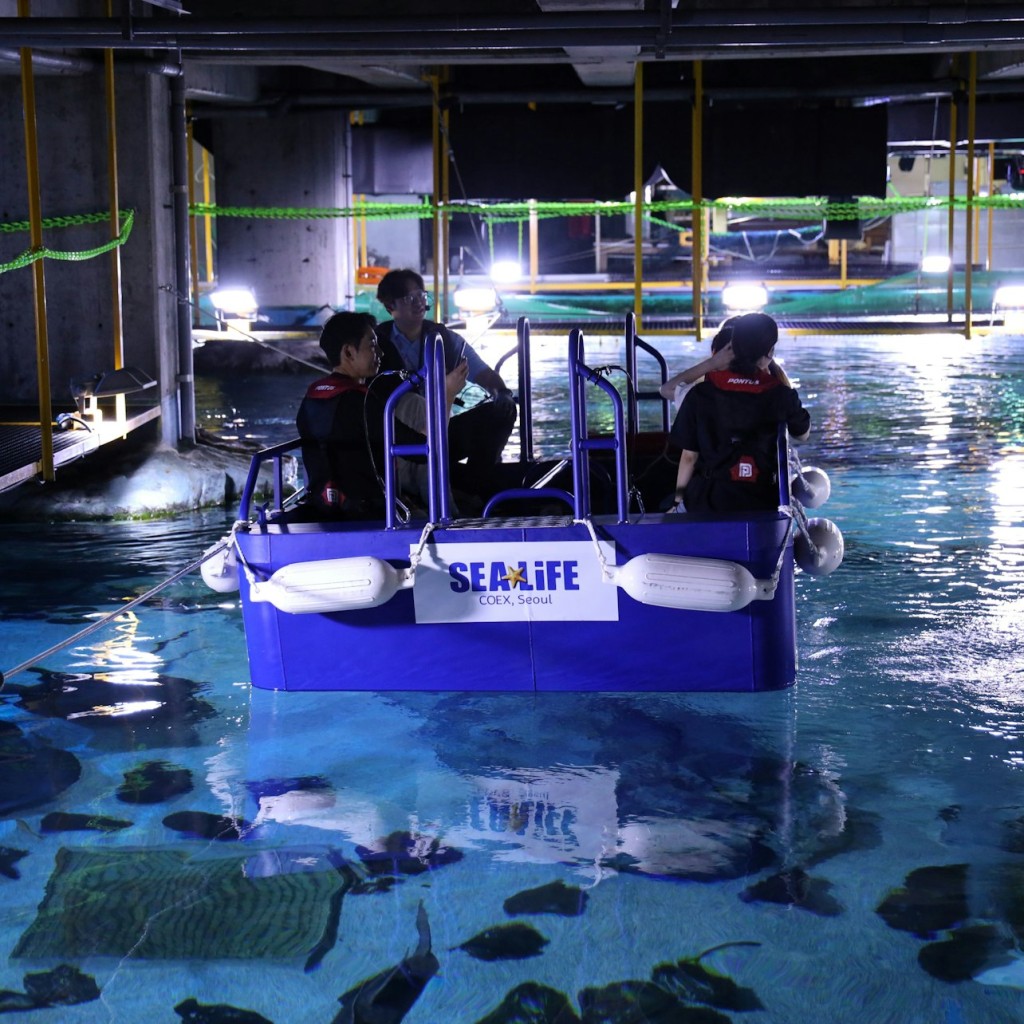 АКВАРИУМ SEALIFE COEX в Сеуле: Входной билет