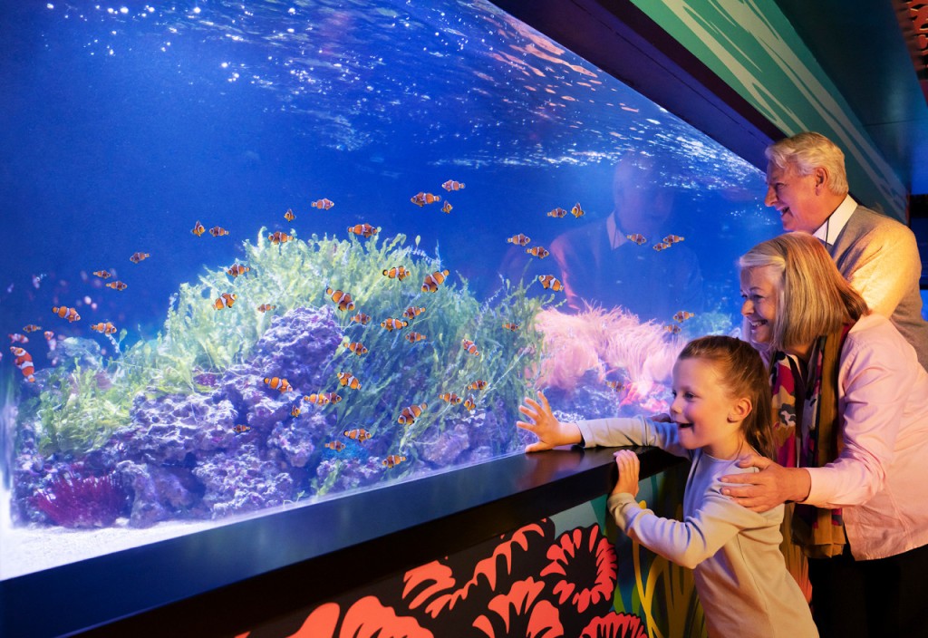 COMBO: London Eye + Madame Tussauds London + SEA LIFE London Aquarium Ticket (COMBO: London Eye + Madame Tussauds + SEA LIFE Aquarium)