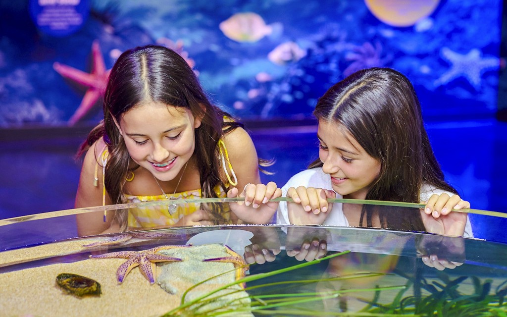 Billets pour l'aquarium SEA LIFE de Melbourne (Entry Ticket)