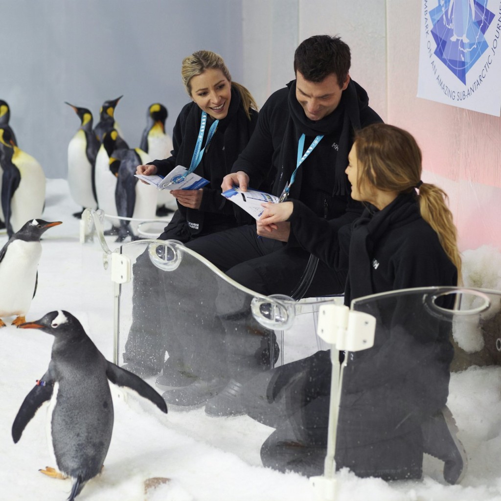 SEA LIFE Melbourne: Experiência do Passaporte do Pinguim