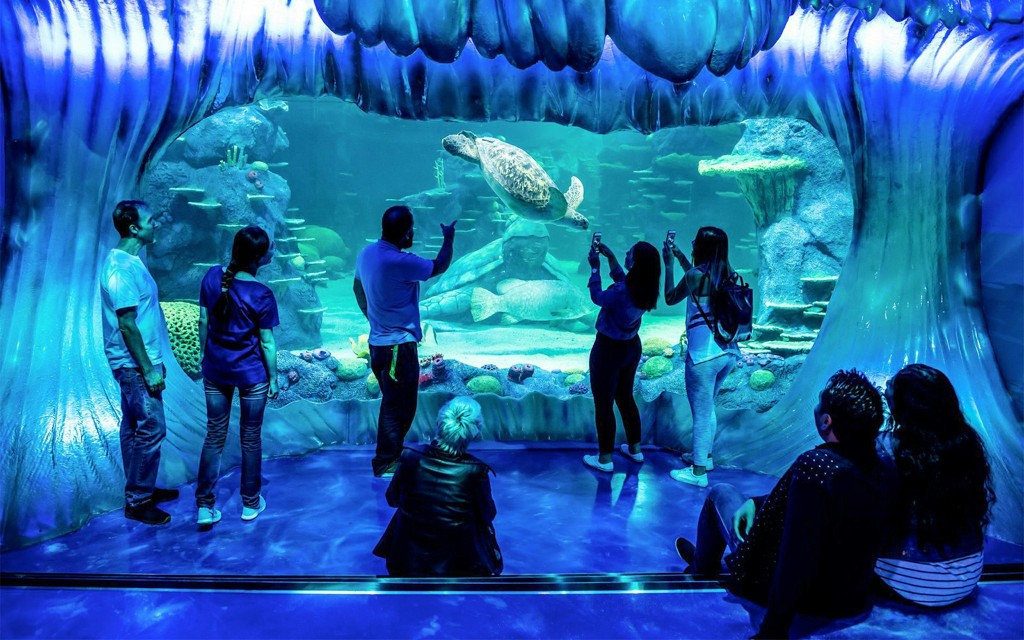Billets pour l'aquarium SEA LIFE Sydney (Shark Dive Xtreme Melbourne)