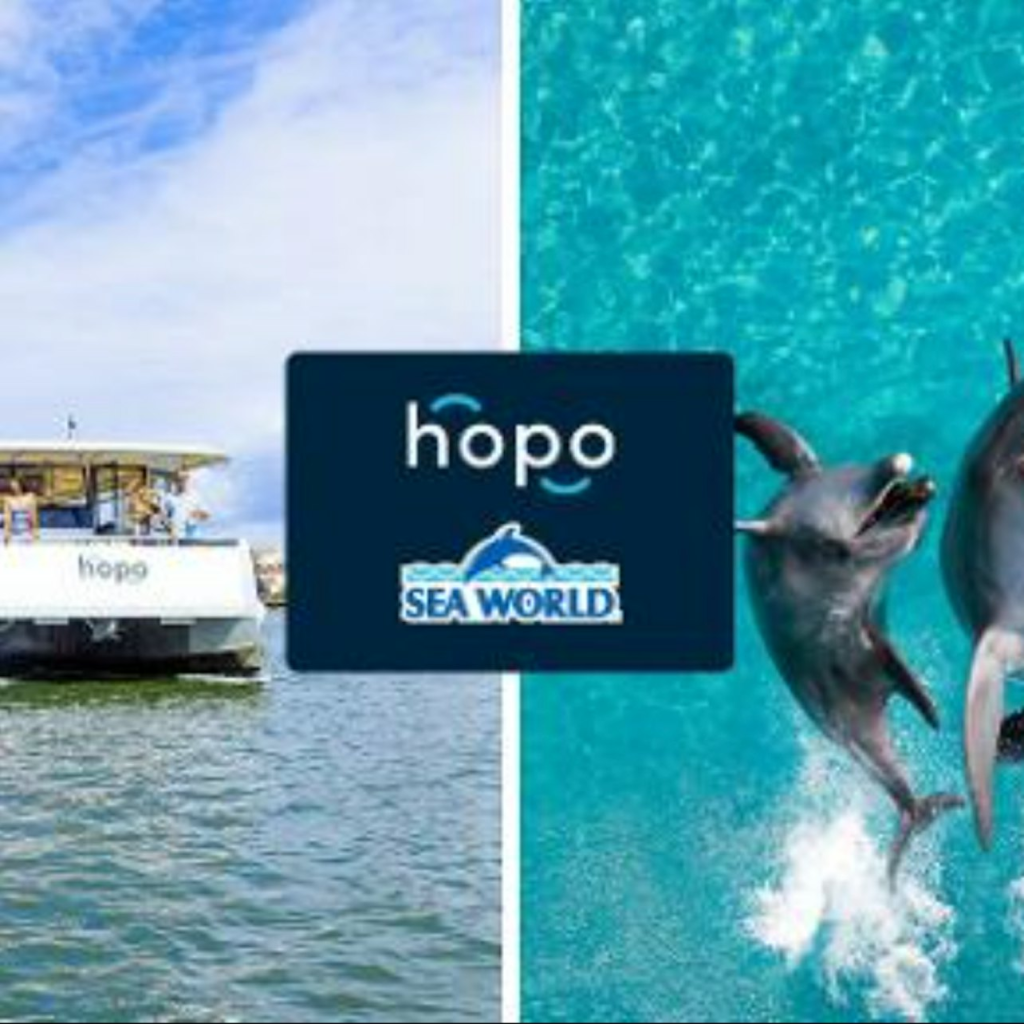 Sea World Gold Coast: tiquet d'entrada + ferri d'anada i tornada