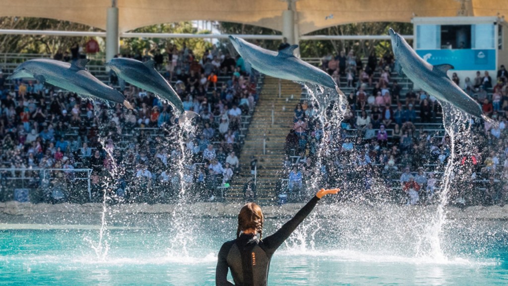 Sea World Gold Coast Ticket (Sea World Gold Coast - Single Day Pass (International Travellers))