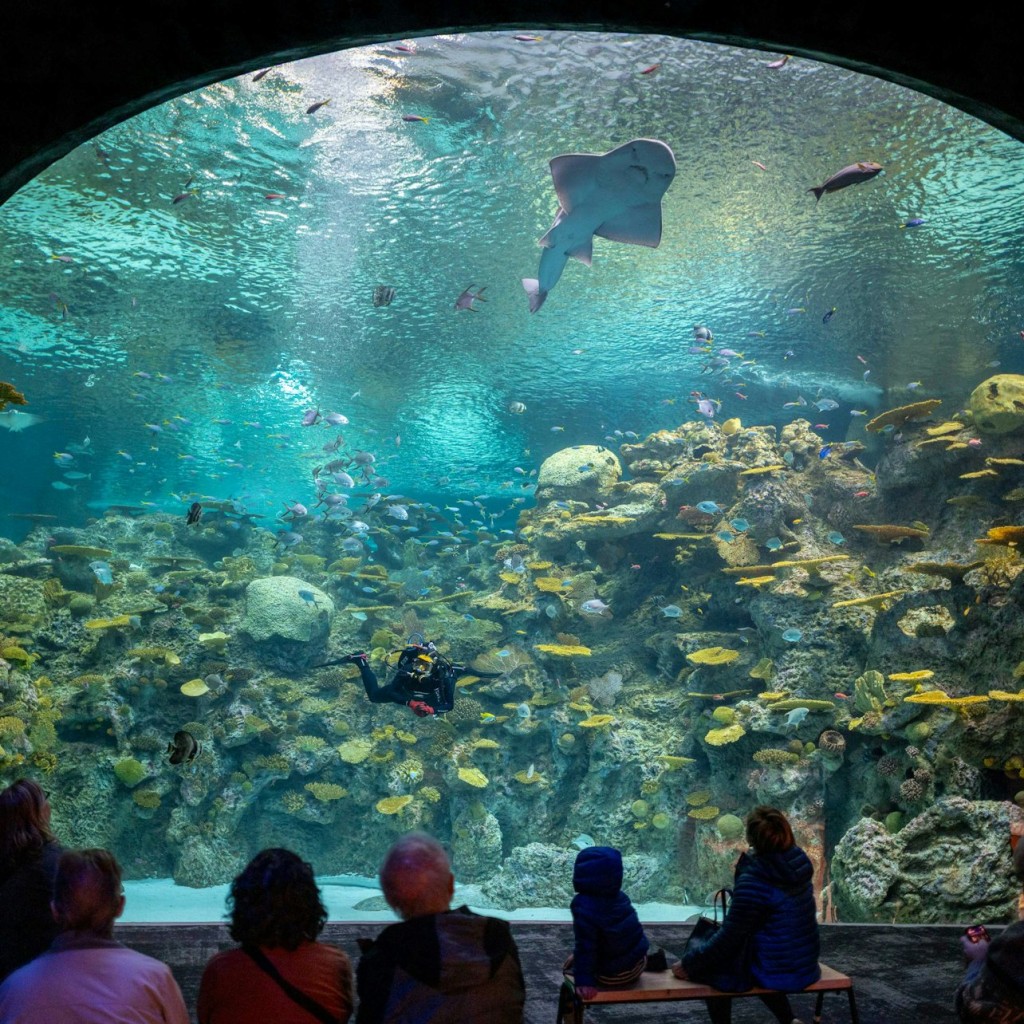 Aquário de Seattle: bilhete de entrada