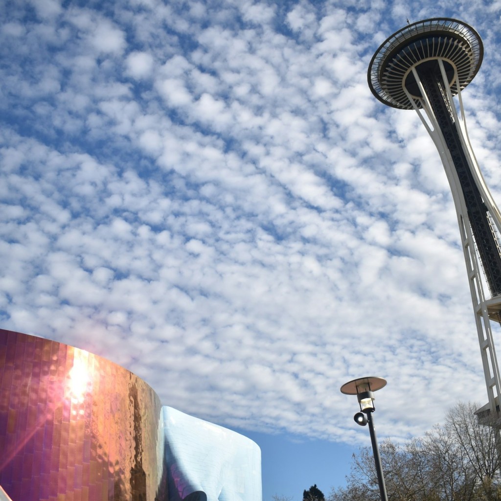 Centro di Seattle e Space Needle: Tour guidato a piedi
