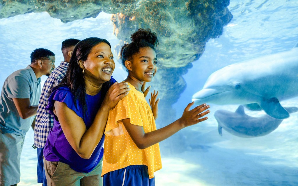 SeaWorld Orlando Any-Day Tickets (SeaWorld Orlando Any-Day Tickets)