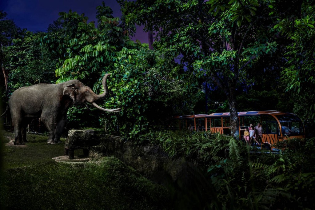 2-Park Destination Pass: Singapore Night Safari + Singapore Zoo Tickets (2-Park Destination Pass: Singapore Night Safari (Fixed Dated) + Singapore Zoo (International Travellers))