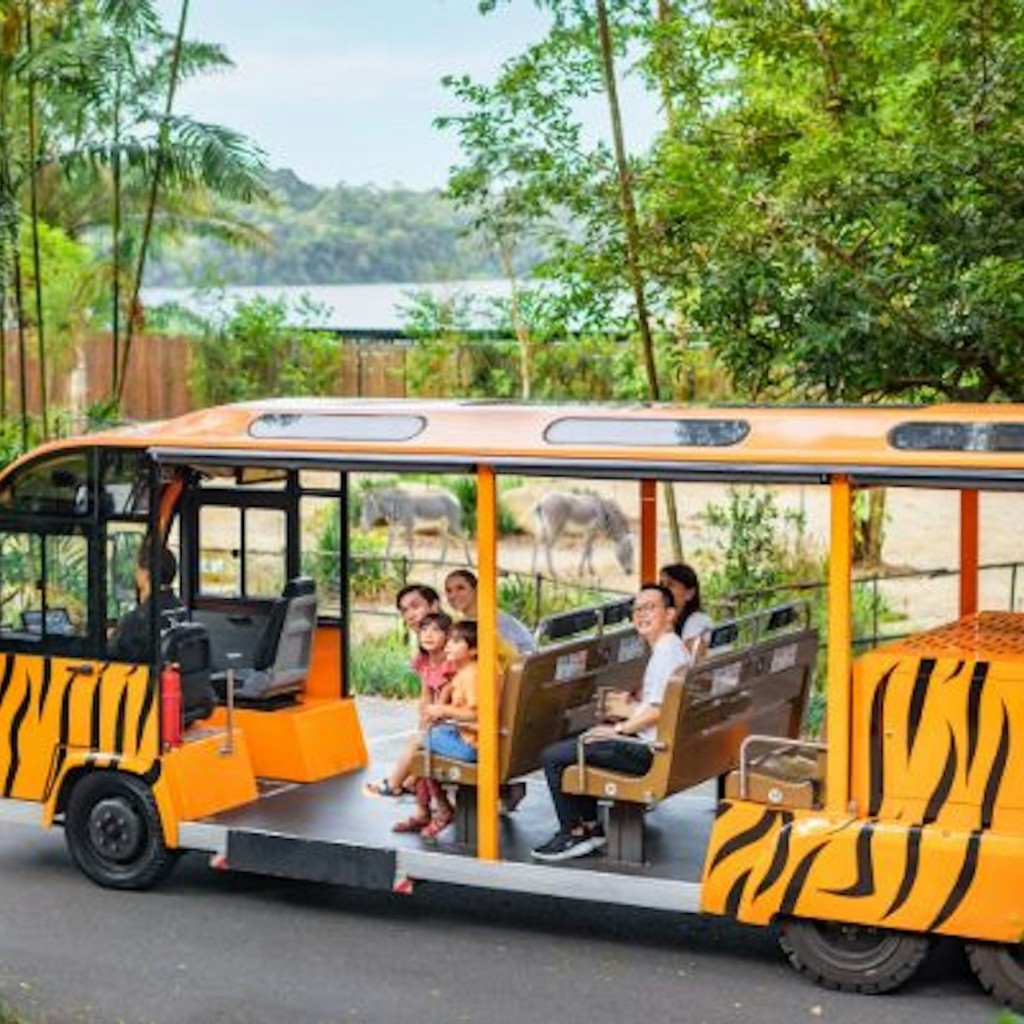 Zoo de Singapur: Tiquet d'entrada