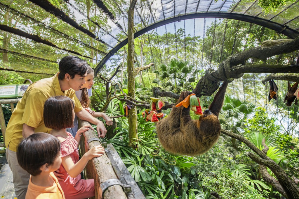 Singapore Zoo Ticket (COMBO: Singapore Zoo - Admission with Tram Rides (International Travellers) + Breakfast in the Wild)