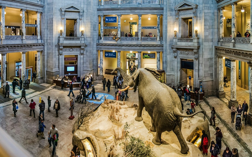 Smithsonian National Museum of Natural History Tours (Smithsonian National Museum of Natural History Tours: Semi-Private)