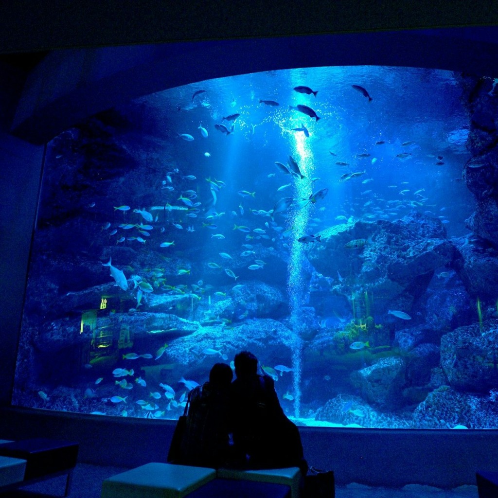 Sumida-Aquarium: Eintrittskarte