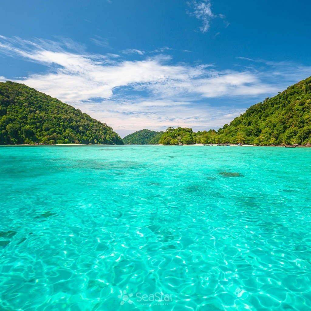 Illes Surin: viatge de snorkel des de Phuket + trasllat en vaixell d'anada i tornada