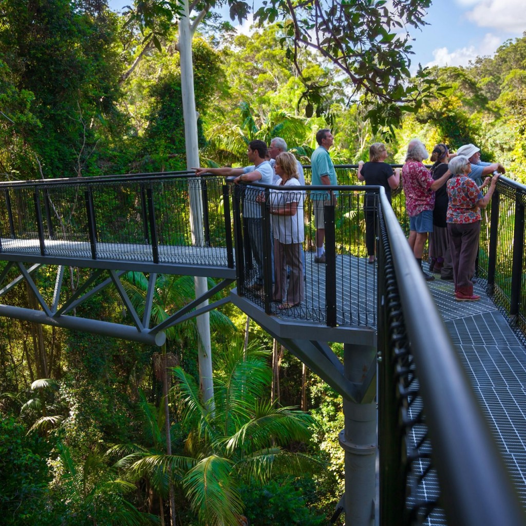 Tamborine Mountain: Ônibus hop-on hop-off saindo de Brisbane