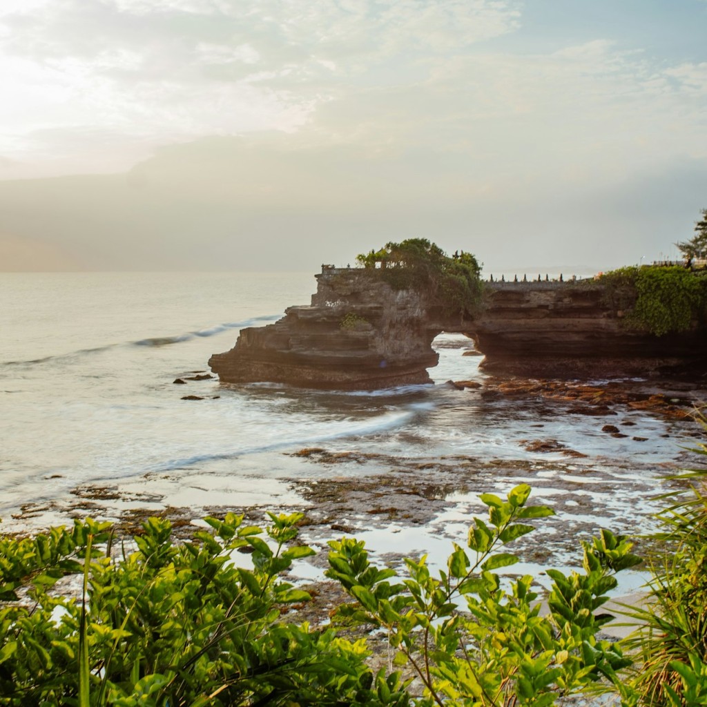 Temple de Tanah Lot i Ubud: visita guiada de dia complet + trasllat d'anada i tornada