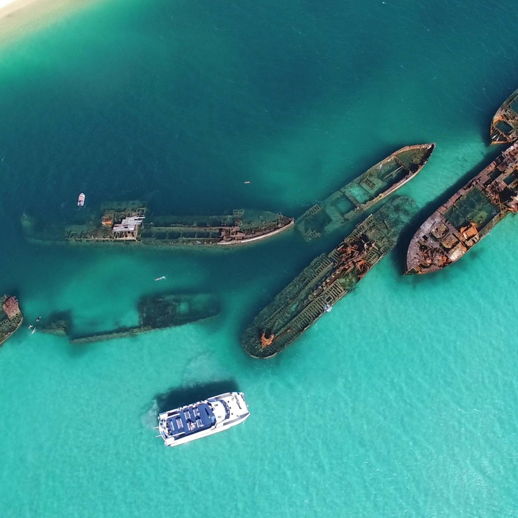 Tangalooma: Schiffswracke Delfin-Bootsfahrt ab Brisbane