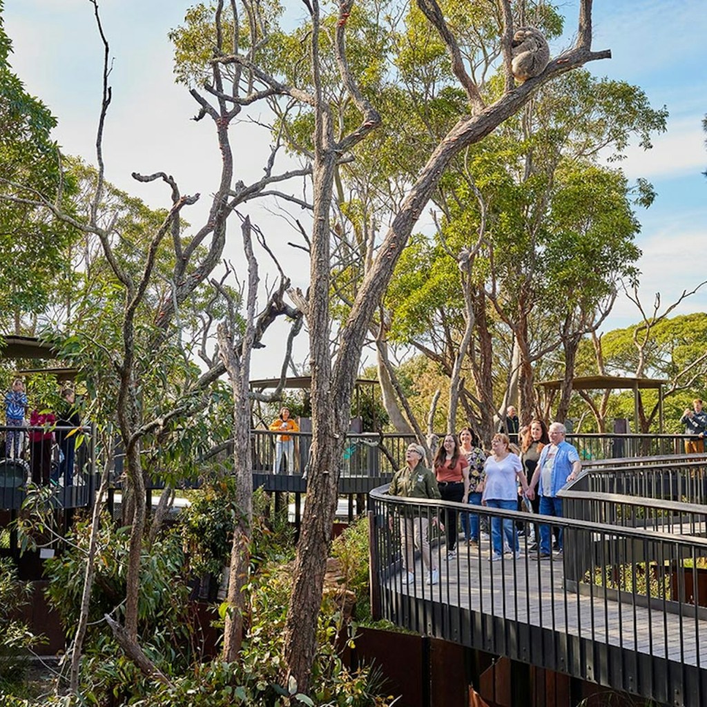 Taronga Zoo Sydney: Bilet wstępu + Prom powrotny