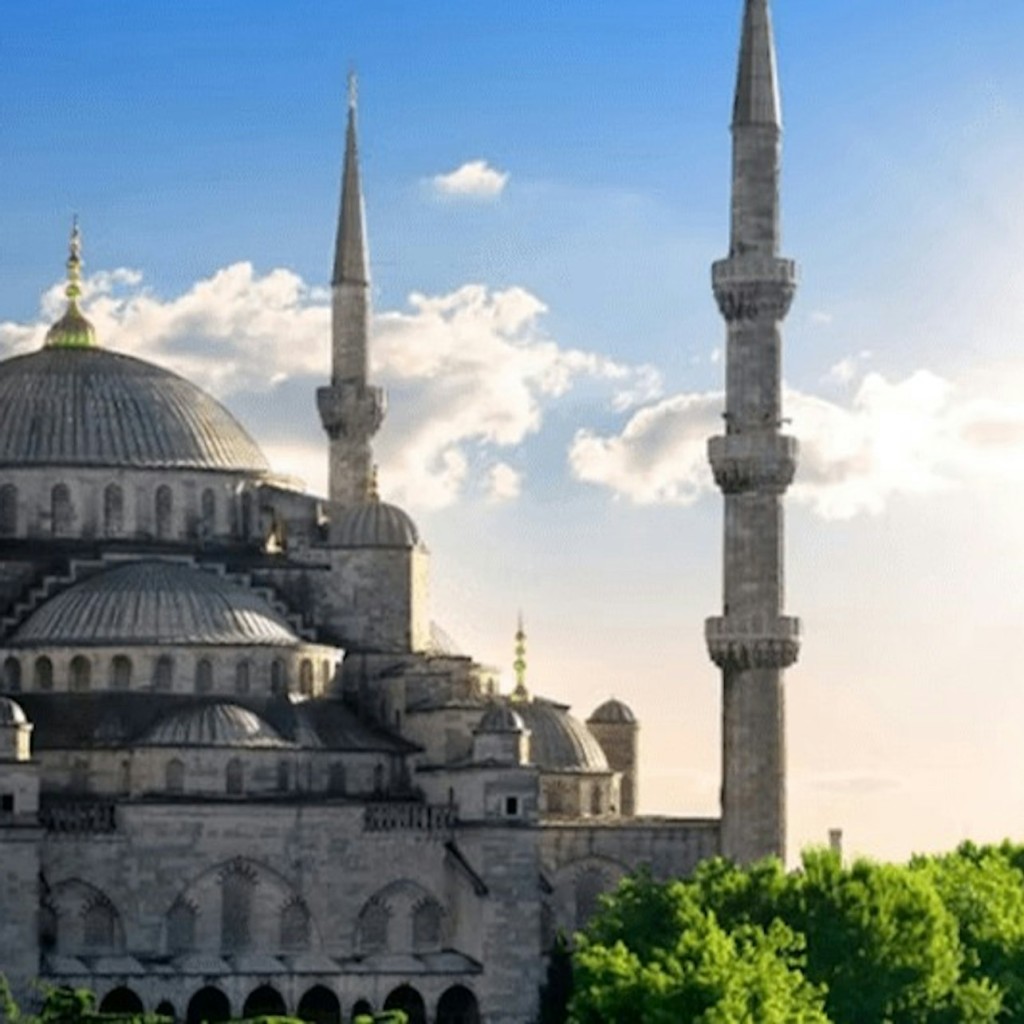 La Mosquée bleue : Visite guidée