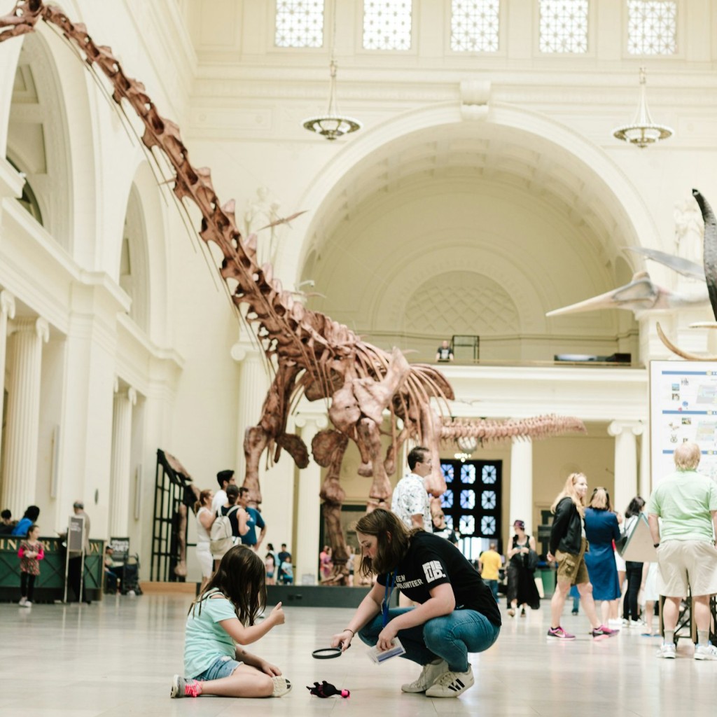 The Field Museum of Natural History: 입장권 - Basic Admission