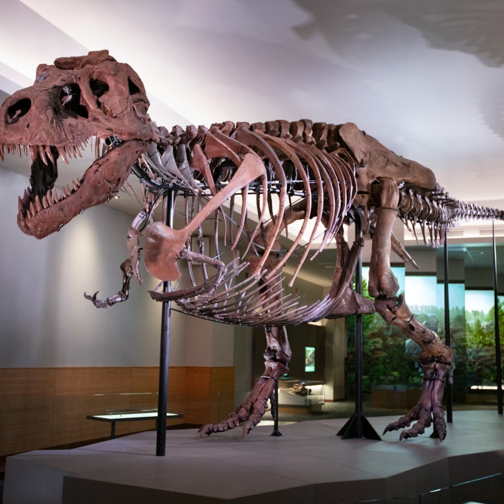 The Field Museum of Natural History: Pass - All Access