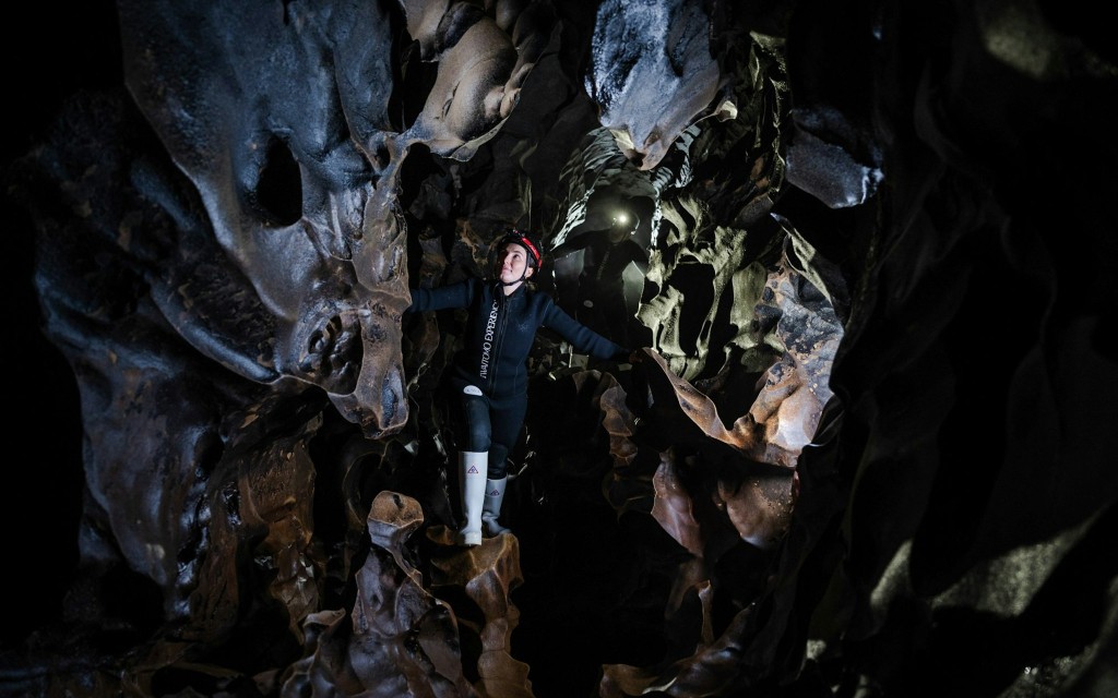 L'esperienza di Waitomo: tour della grotta delle lucciole di Okohua (The Waitomo Experience : Okohua Glowworm Cave Tour)