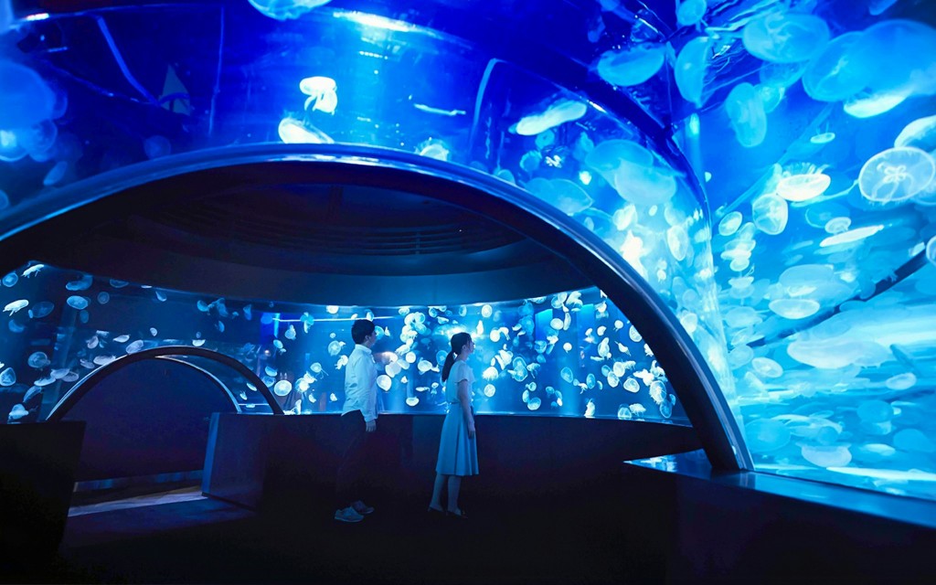 Billets pour l'aquarium de Kyoto (Admission ticket to Kyoto Aquarium )