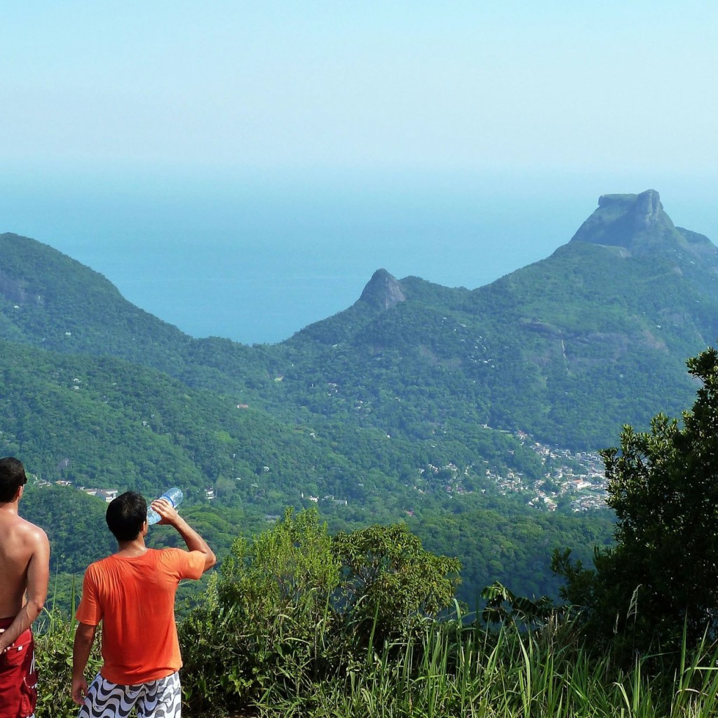 Pico da Tijuca: Caminhada guiada + transfer do hotel