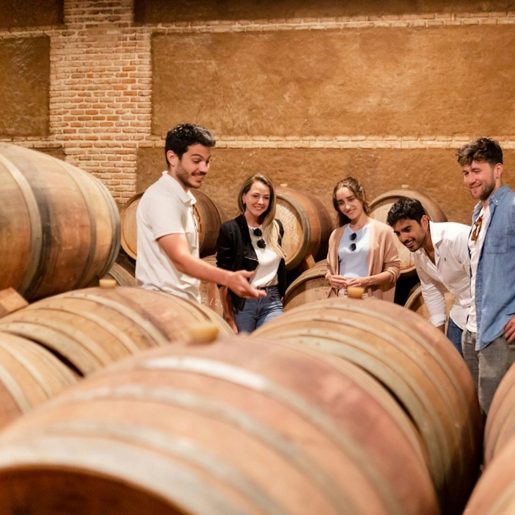 Toledo: Recorregut per la ciutat i els cellers des de Madrid + Tast de vins