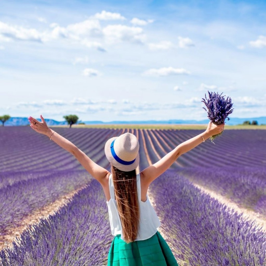 Els camps de lavanda de Valensole: visita guiada d'un dia des d'Aix-en-Provence