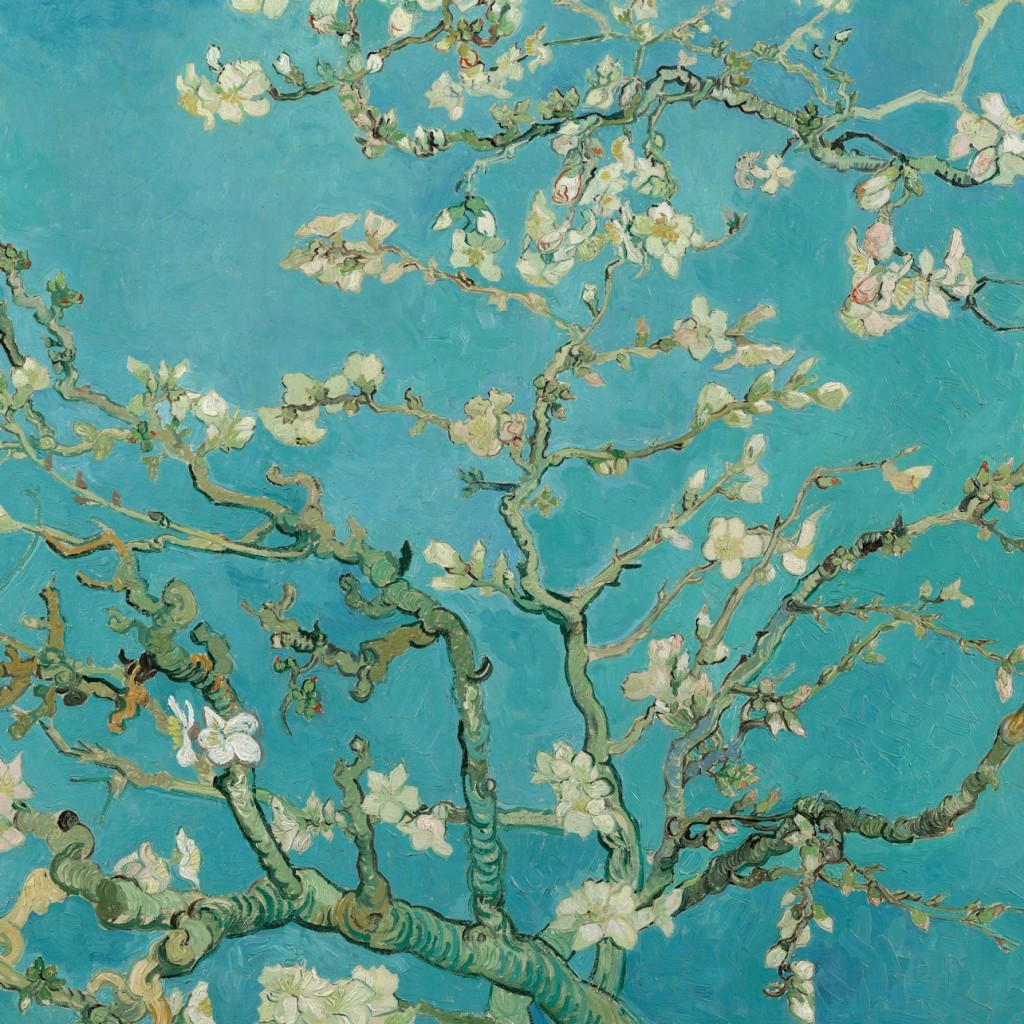 Musée Van Gogh Amsterdam : Visite guidée