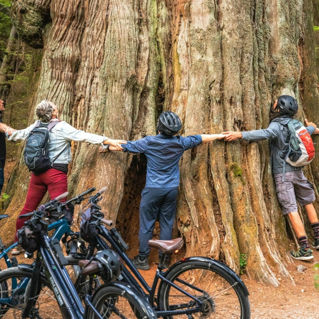 Vancouver: tour familiar en bicicleta per Stanley Park
