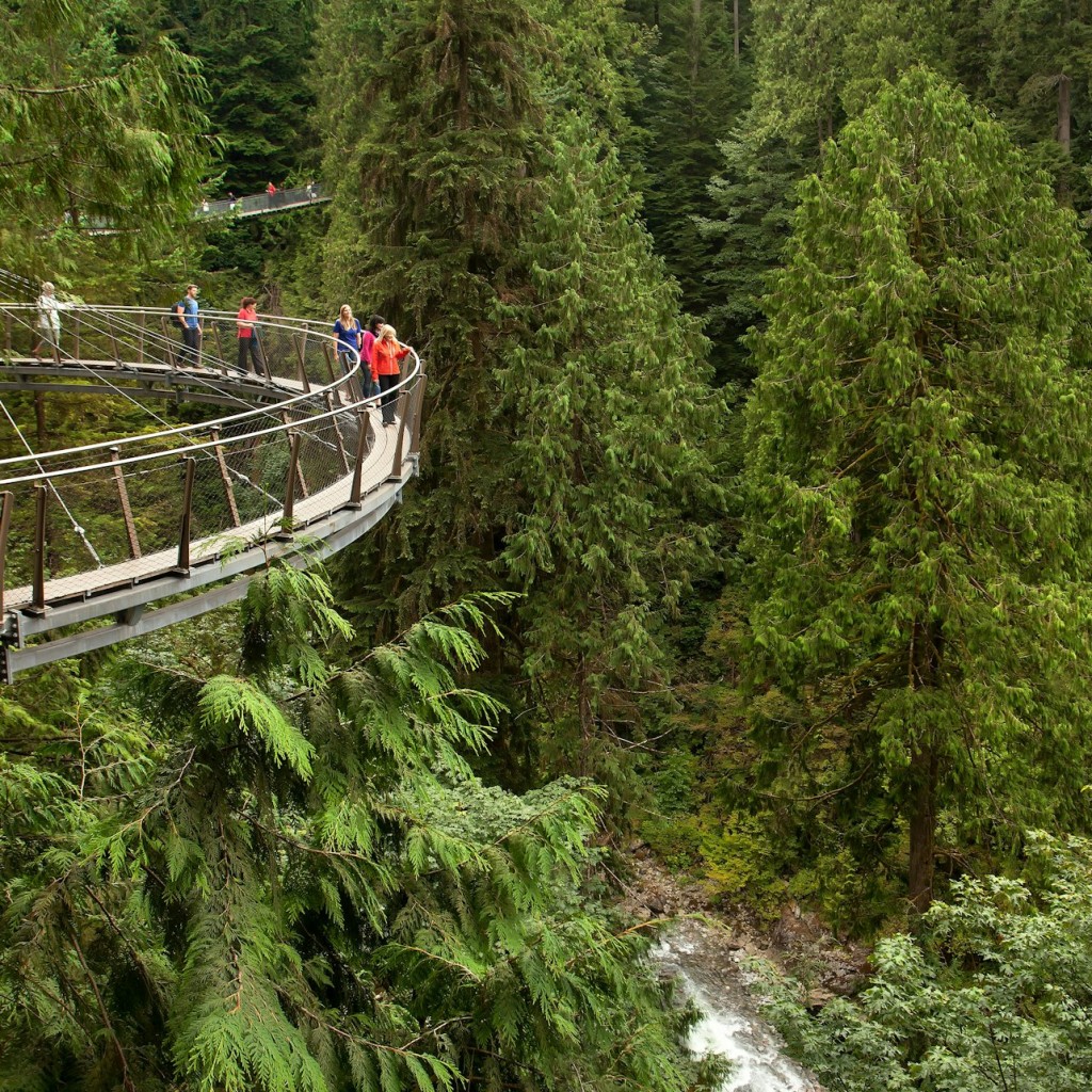 Vancouver: Visita Guiada + Visita al Parque del Puente Colgante de Capilano + Almuerzo