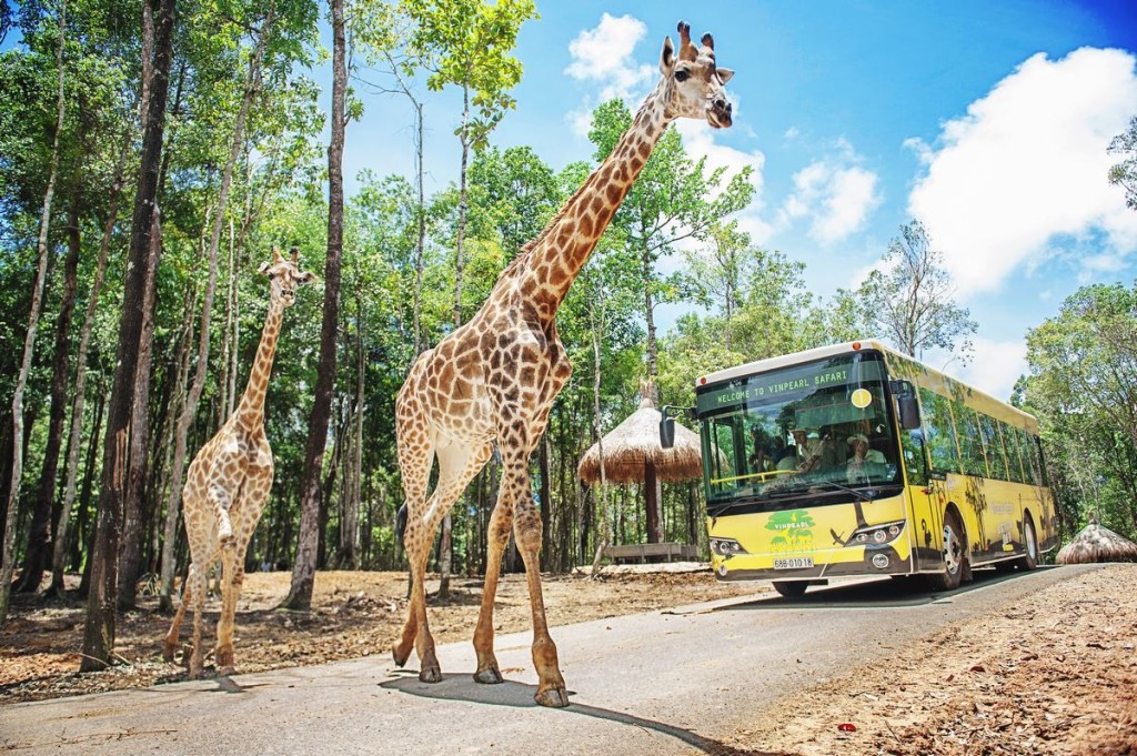 Vinpearl Safari Phu Quoc Ticket (Admission + Set Menu Voucher)