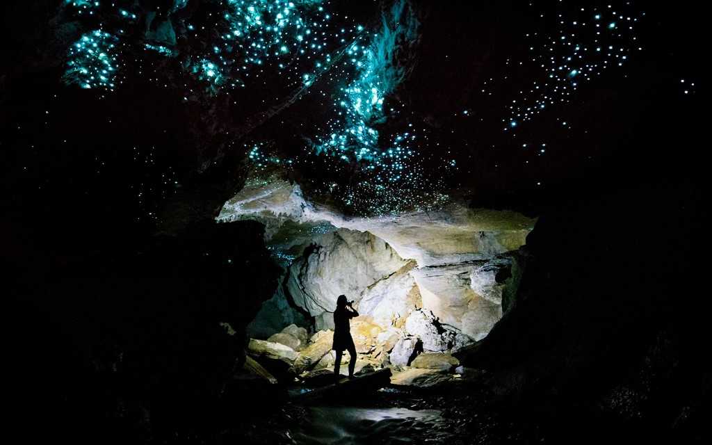 Geführte Tour durch die Waitomo Glühwürmchenhöhlen (Offbeat Waitomo Glowworm Cave Small-Group Guided Tour)