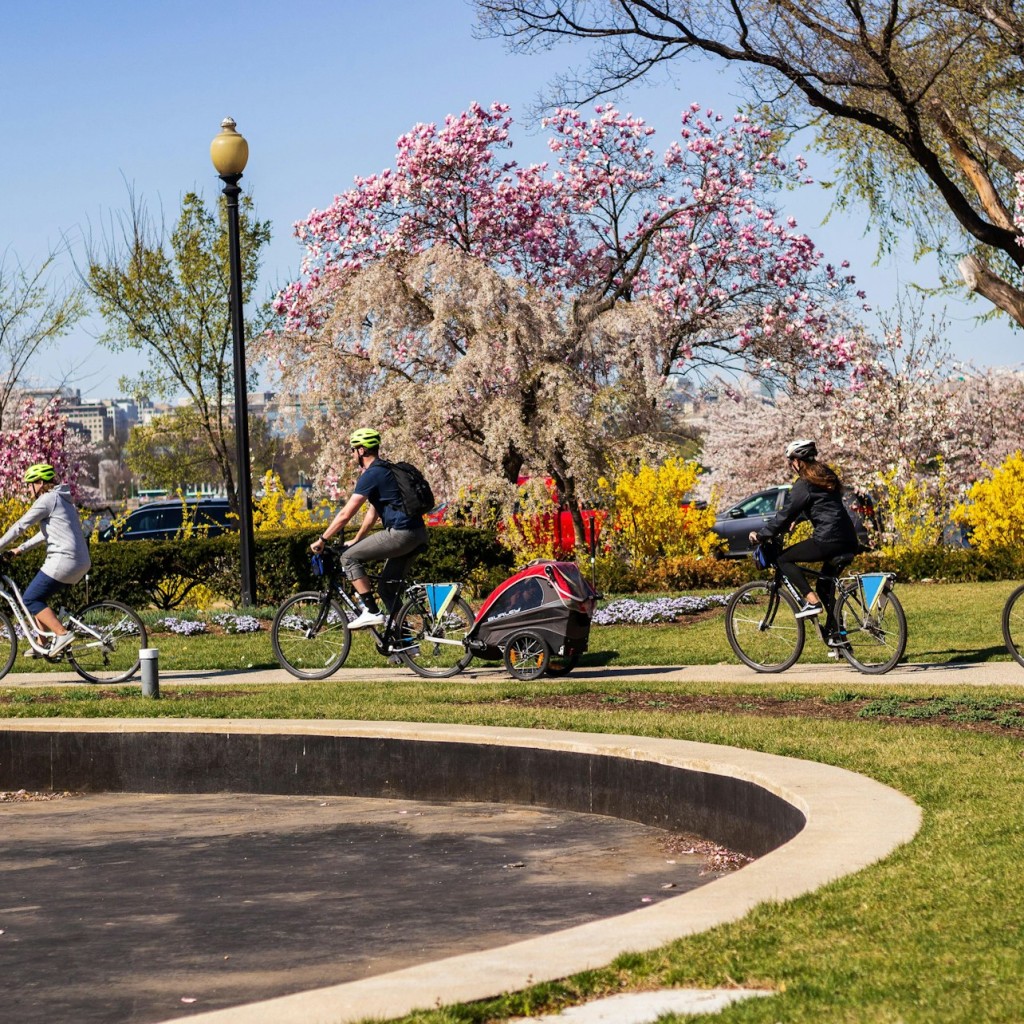 Washington DC: 3-Stunden Monuments & Memorials Geführte Fahrrad Tour
